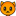 世界杯参