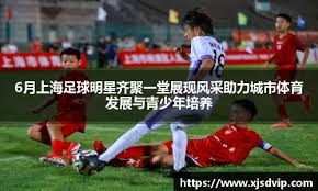 一条传线持